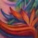 tattoo galleries/ - Bird of paradise flowers color tattoo